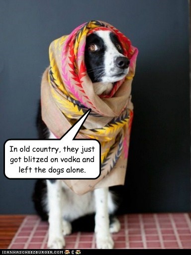 In old country, they just got blitzed on vodka and left the dogs alone.
