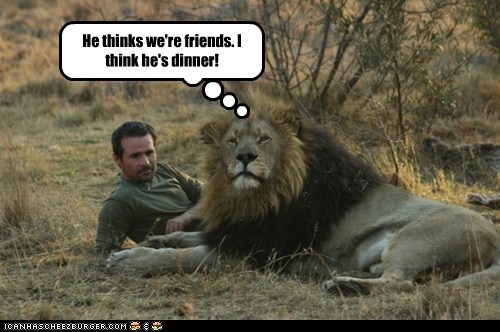 How Cute. The Lion Invited Me for Dinner.