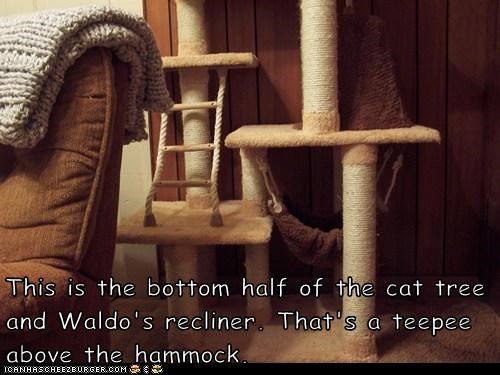 This is the bottom half of the cat tree and Waldo's recliner. That's a teepee above the hammock.
