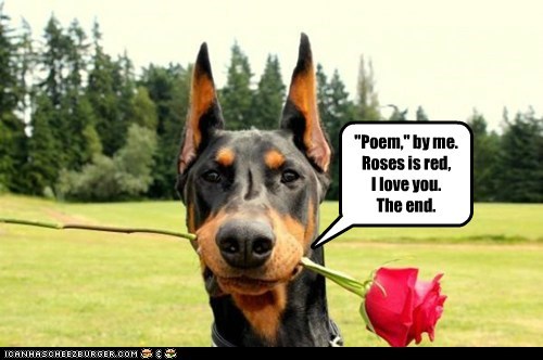 Dog poetry gets right to the point...