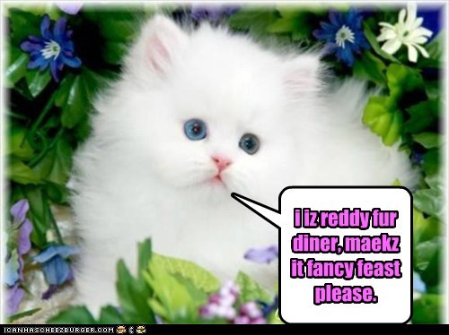 i iz reddy fur diner, maekz it fancy feast please.