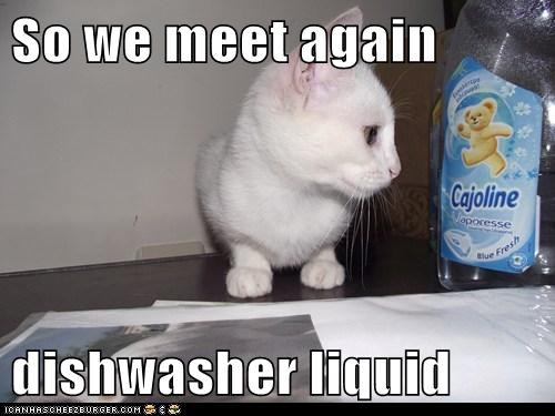 So we meet again  dishwasher liquid