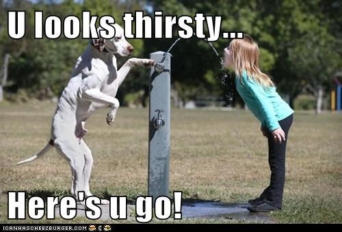 U looks thirsty...  Here's u go!