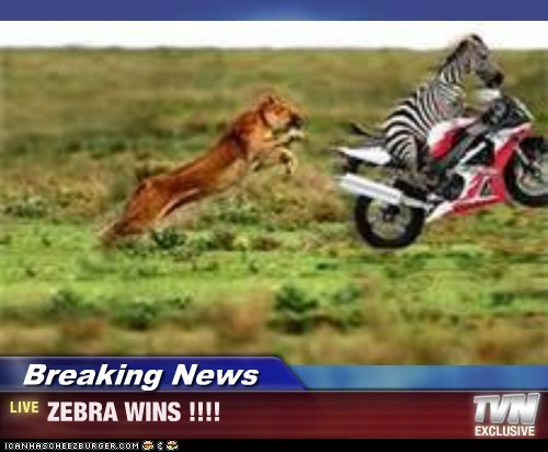 Breaking News - ZEBRA WINS !!!!