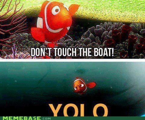 Finding Yolo