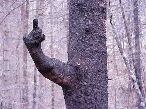 Mother Nature Disapproves FAIL