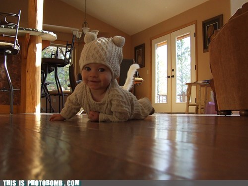 Toddler Tail