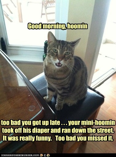 too bad you got up late . . . your mini-hoomin took off his diaper and ran down the street.  It was really funny.   Too bad you missed it.