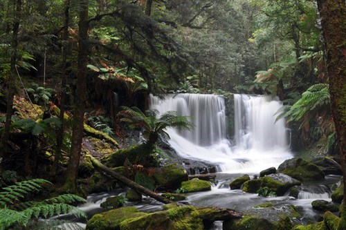 Horseshoe Falls in Tasmania