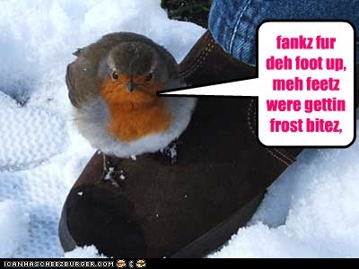 fankz fur deh foot up, meh feetz were gettin frost bitez,