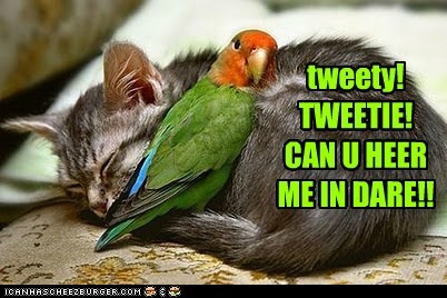 tweety! TWEETIE! 