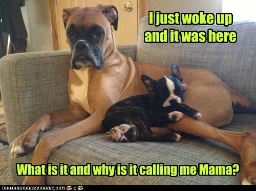 That would explain the morning sickness