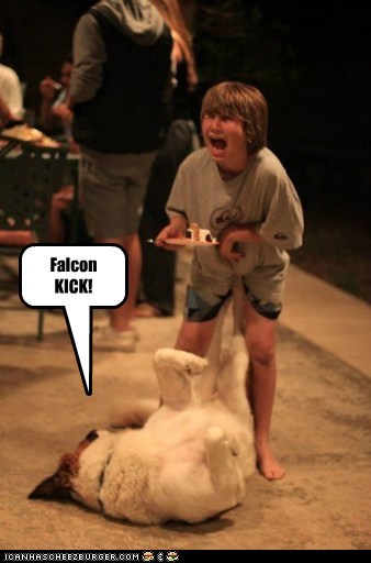 Falcon KICK!