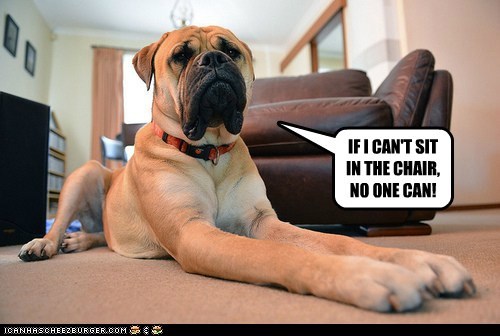 MY CHAIR!