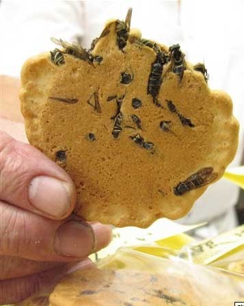 Chocolate Chips Are Overrated