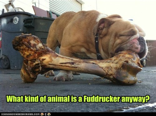 What kind of animal is a Fuddrucker anyway?