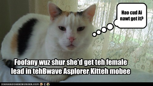 Foofany wants to star in teh Bwave Asplorer Kitteh movie