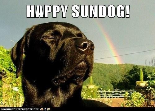 Happy Sundog! 
