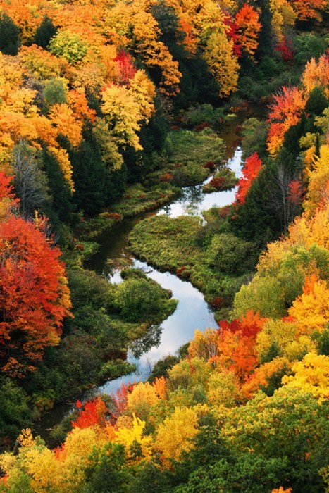 A River Runs Through Fall