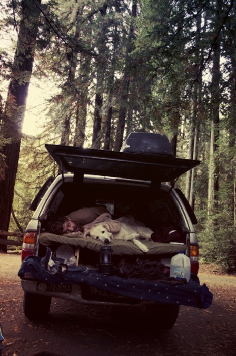 Make Sure to Bring a Camping Buddy!