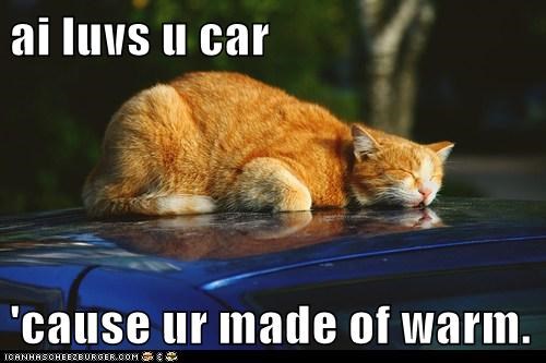 Lolcats: ai luvs u car 