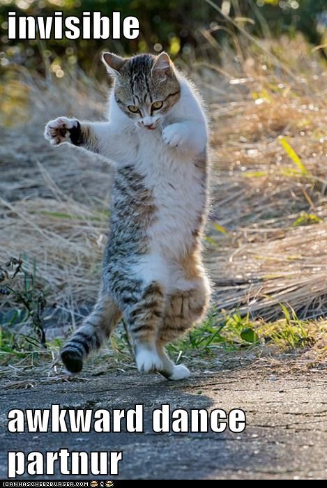 Lolcats: Awkward