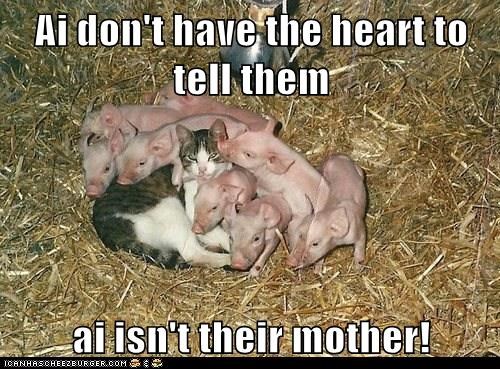 Ai don't have the heart to tell them  ai isn't their mother!