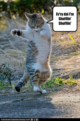 OH YEH! I'z da PARTEE RAWKIN' ANIMUL!!