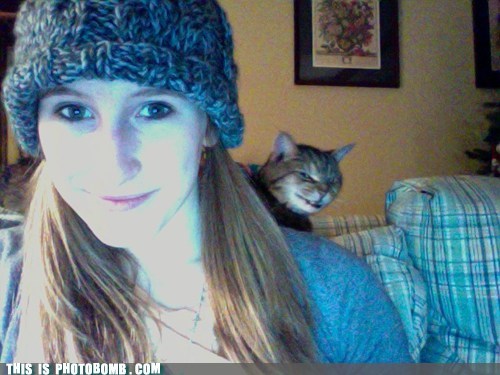 Photobomb level: Cat! 