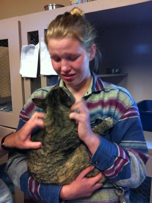Cat Reunited With Owner After Missing for a Year