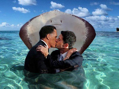 Stingray! Stop Photobombing My OTP!