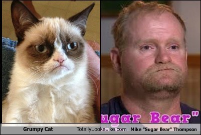Totally Looks Like: Grumpy Cat Totally Looks Like Mike "Sugar Bear" Thompson