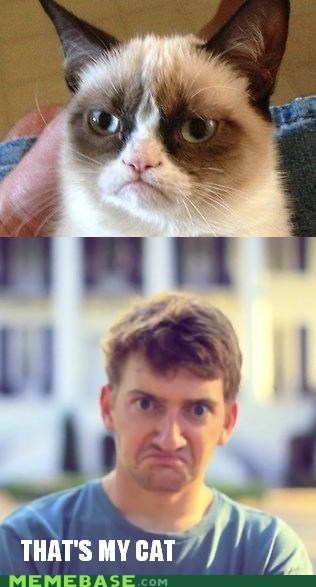 Face Cat?