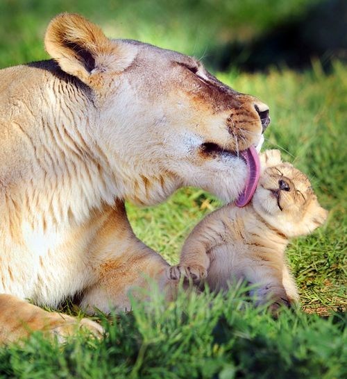 Mooom! You're Embarrassing Me! 