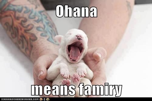 Ohana  means famiry