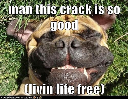 man this crack is so good  (livin life free)