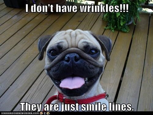 Smile Lines 