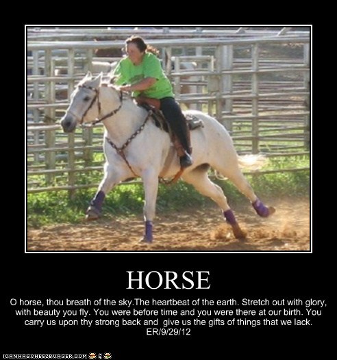 HORSE
