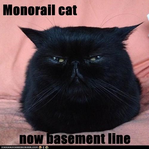 Monorail cat  now basement line