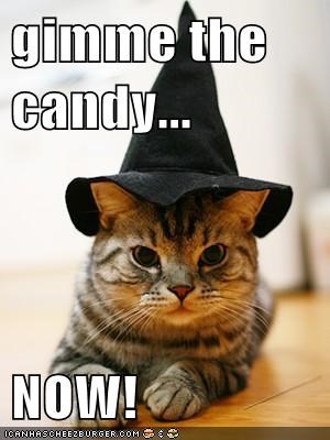 gimme the candy...  NOW!