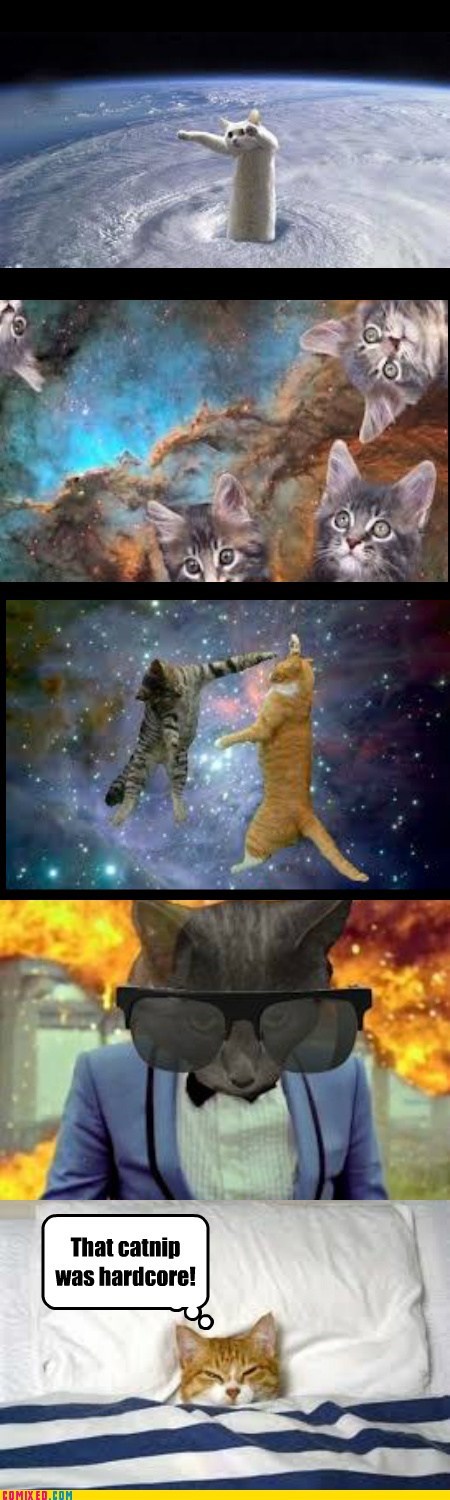 What Was in the Nip: The Sequel