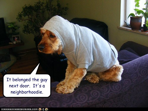 It belonged the guy next door.  It's a neighborhoodie.