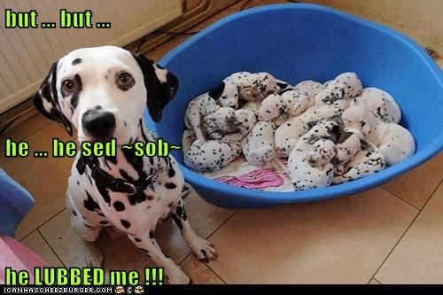 but ... but ...  he ... he sed ~sob~ he LUBBED me !!!