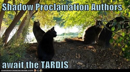 Shadow Proclamation Authors  await the TARDIS