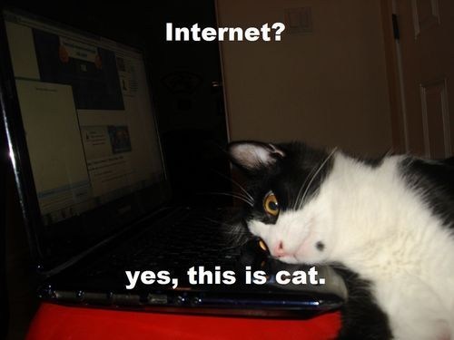 Speak to Me, Internet!  Tell Me Your Secrets!