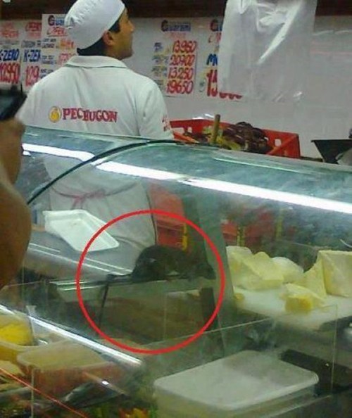 FAIL Nation: Health Code FAIL
