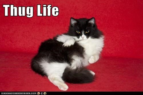 Thug Life