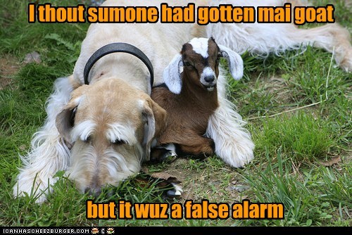 All iz well
