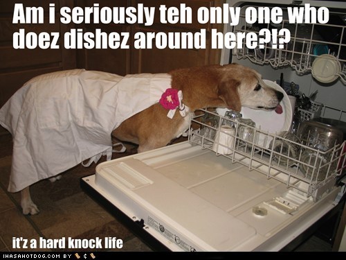 The Dishwasher