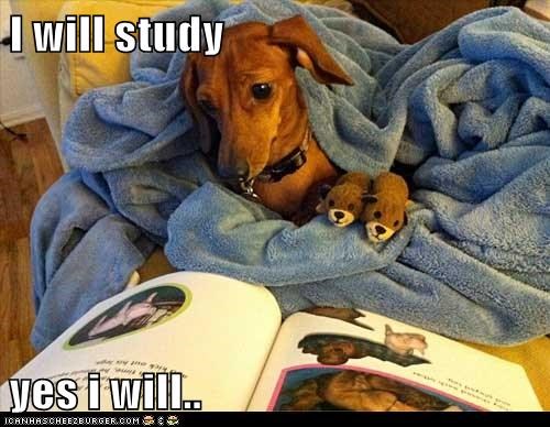 I will study  yes i will..